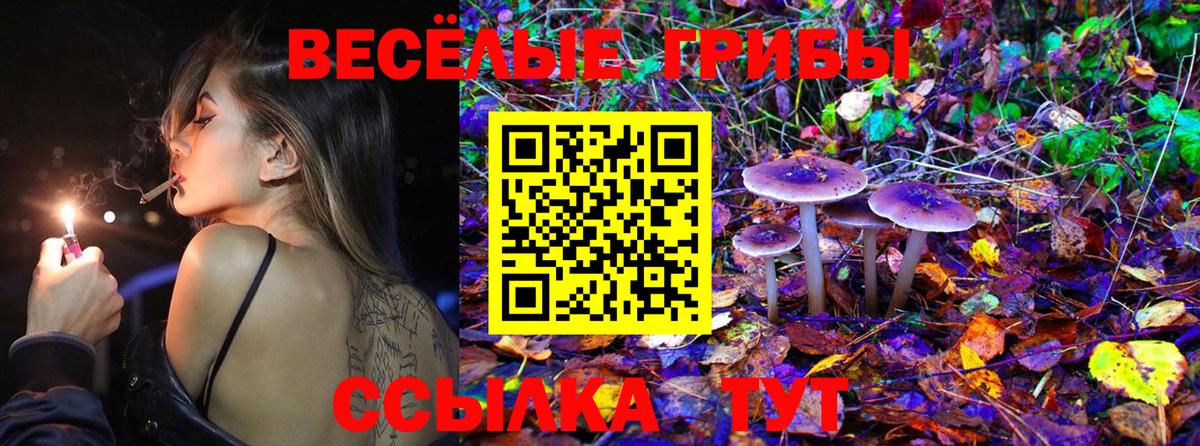 Галлюциногенные грибы GOLDEN TEACHER Тверь
