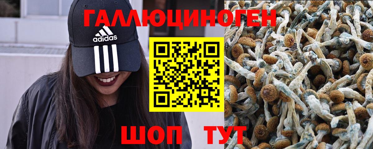 Тверь  Галлюциногенные грибы Psilocybe  Галлюциногенные грибы ЛСД  Вход с VPN 